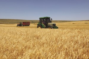 Ordu da Kırsal Kalkınmaya 6 Milyonluk Yatırım