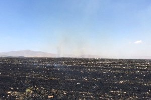 Kulu da Anız Yangını Güçlükle Söndürüldü