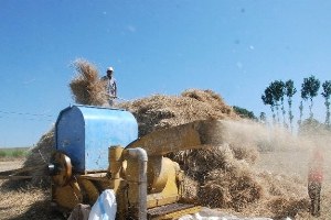 Sıcak Havada Çiftçinin Patoz Mesaisi