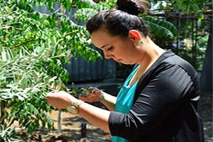 Tarım Danışmanları Çiftçinin Hizmetinde