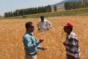 Uygulama keşke dedirtti