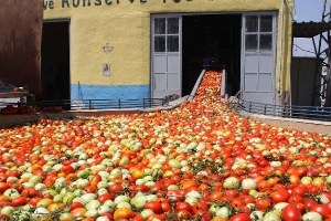 İnegöl den Hollanda ya 600 Ton Salça İhraç Edilecek