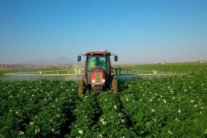 Tarlaların Satışını Tarım Müdürlükleri Yapıyor