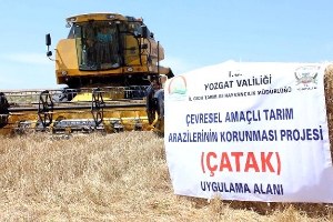 Yozgat ta Çatak Kapsamında Deneme Eğitimi Yapılan Tarlada Hasat Gerçekleştirildi