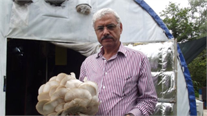 Aradığı Mantarı Bulamayınca Kendi Üretti