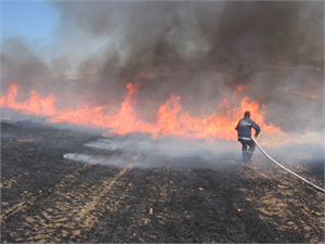 Anız Yangınlarının Önüne Geçilemiyor