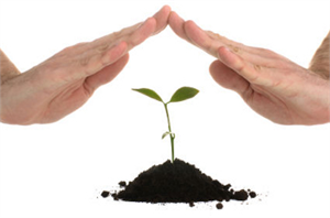 Tarım Sigortasına Talep Artıyor