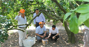 Üreticilere Faydalı Böcek Dağıtıldı