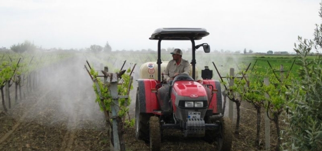 Ucuz Olduğu İçin Yanlış İlaçlar Kullanılıyor