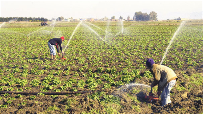 Gap ta Üretim Çoğalıyor