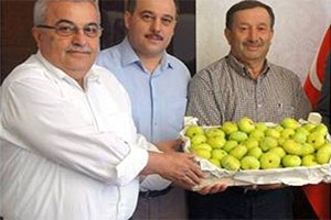 Aydın da Güneş Enerjisiyle Soğutma