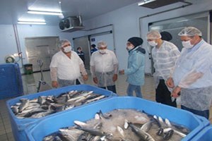 TİKA dan Azerbaycan a Tarım Ve Hayvancılık