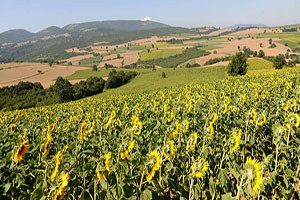TEMA Tarım havzaları linyit madeni olacak