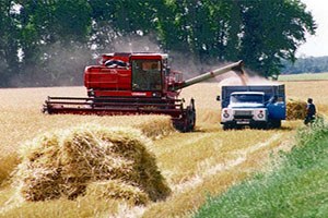 Yanlış tarım politikaları tüketiciyi açlığa terk etti