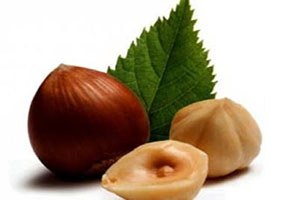 Fiskobirlik ten Fındık Üreticilerine Uyarı