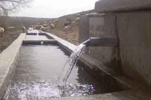 Dap Başkanlığı Beton Hayvan Sulağı Dağıtımına Başladı