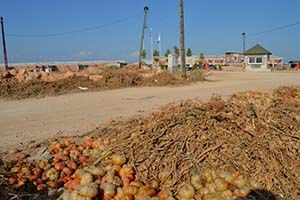 Malatya da 33 bin hektar tarım arazisi yok oldu