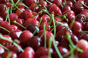 Tarımda Kiraz zamanı