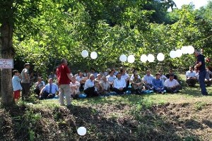 İkizce de Fındıkta Verimi Artırma Çalışmaları