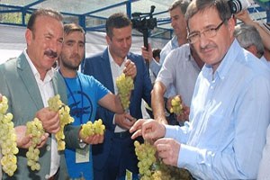 İzmit te Tarımsal Ürün Festivali