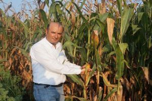 Mısır Hasadı Başlıyor Çiftçi Hala Açıklanmayan Alım Fiyatını Bekliyor