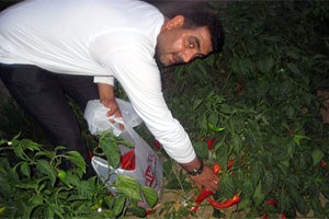 Tarım Toprakları Amacı Dışında Kullanılıyor