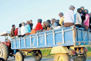 Ordu ya gelen tarım işçilerinin sayısı 15 bini buldu