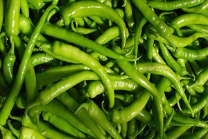 Yenişehir in altını biber bu yıl üreticiyi güldürdü