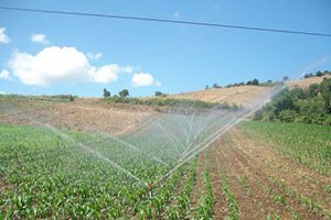 Basınçlı Sulama Sistemiyle Tarımda Verimlilik Arttı