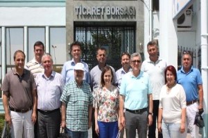 Bu Yıl Buğdaydaki Protein Değerleri Düşük