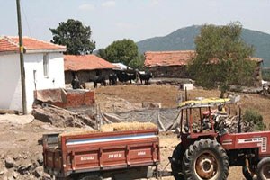 Edirne de Şarbon Karantinası