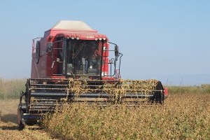 Söke de Tarla Günü Etkinliği