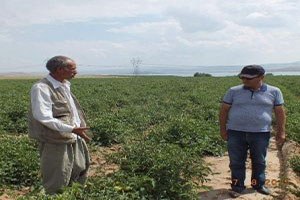 Tso dan Endüstriyel Tarıma Destek