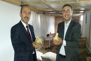 Kars ta Kaz Yetiştiriciliği Destekleniyor