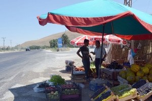 Tarladan Tüketiciye Organik Sebze