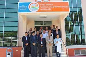 Adana Irak a buğday ihraç edecek