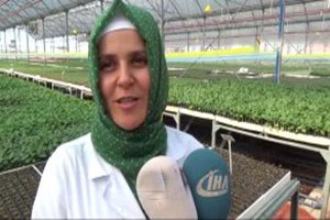 Kumluca da Yeni Sezon İçin Fide Üretimi Başladı