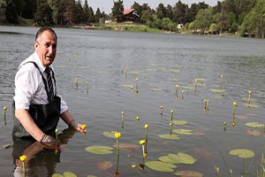 Bolu da endemik bitkiler koruma altına alınıyor
