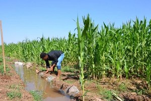 Gece Sulaması ile Daha Az Su Daha Fazla Verim
