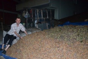 Gündüz Hasat Gece Nöbet