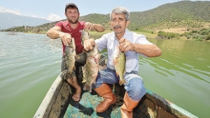 Tarladan Balık Çıkardılar