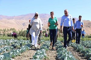 Gürpınar Belediyesi Açık Sera Kurdu