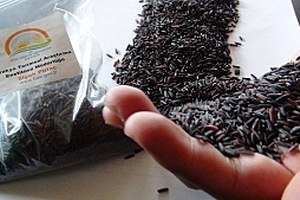 Karbonhidrat Oranı Düşük Diyet Pirinç Çıktı