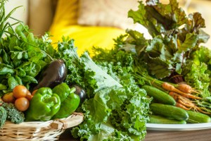 Gazze de Organik Tarım