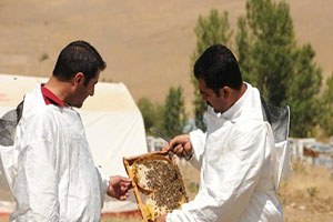 Van daki Arıcılar Balın Tadı Kaçtı Diyor