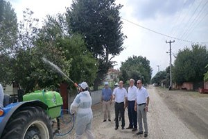 Amerikan Beyaz Kelebeği ile Mücadele Sürüyor