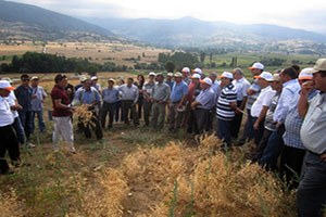 Erbaa da Tarla Günü düzenlendi