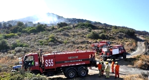 Datça da Büyük Yangın Çok Sayıda Ağaç Kül Oldu
