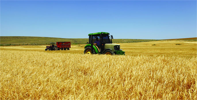 Dolardaki Artış Çiftçiyi Düşündürüyor