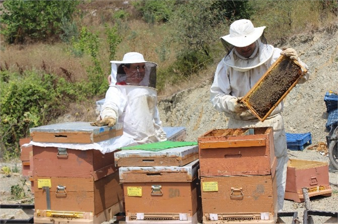 Bilecik te Bal Bereketi